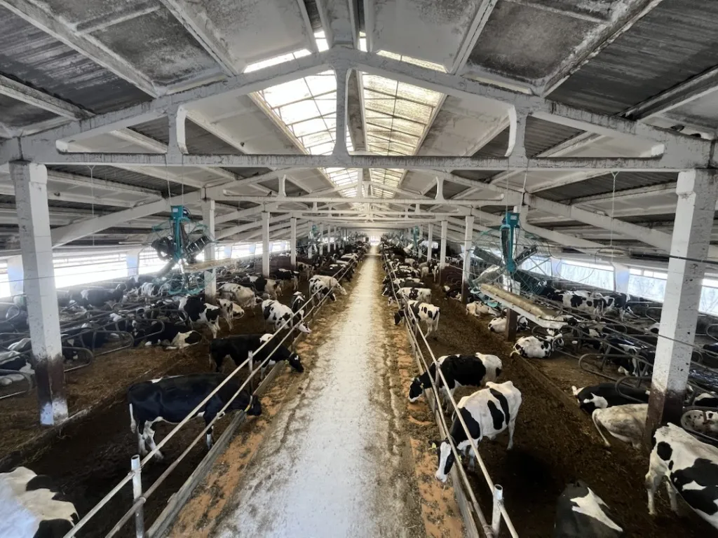 Вентиляция